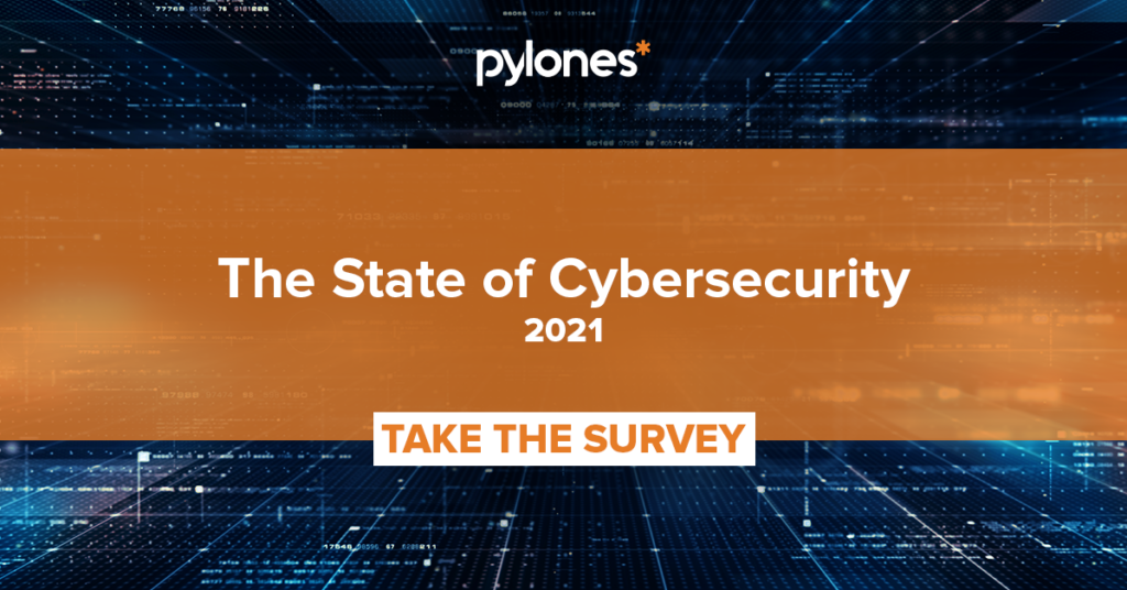 The State of Cybersecurity 2021