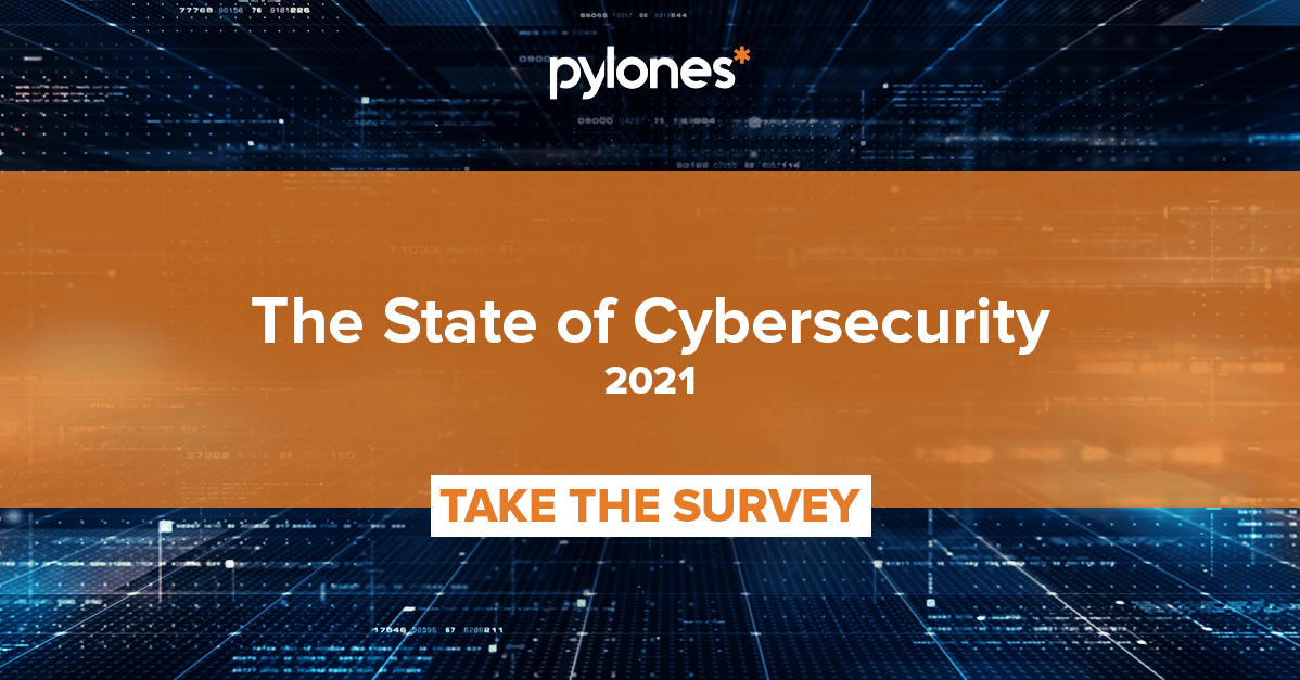 The State of Cybersecurity 2021